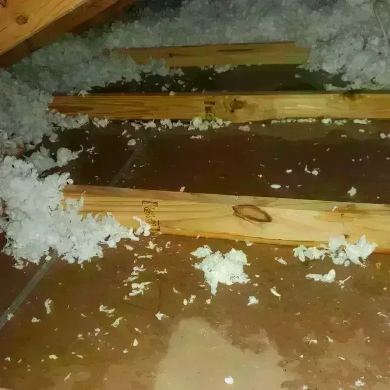 Attic Water Damage in Washington, IA