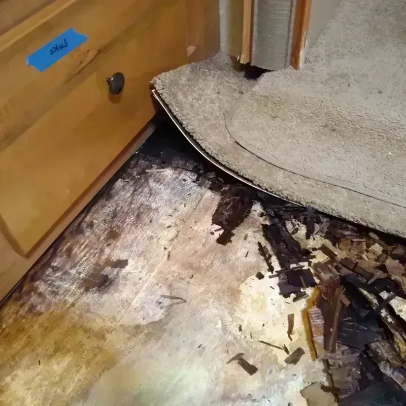 Wood Floor Water Damage in Washington, IA